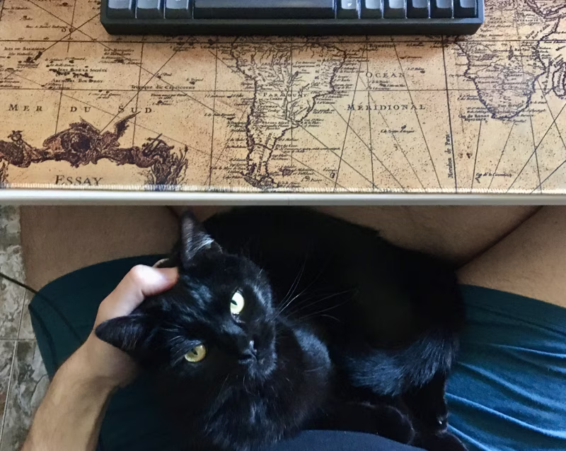 Mi oscuro secreto en las videoconferencias