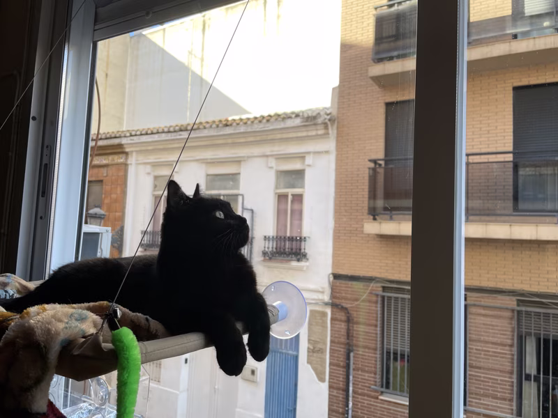 No hay luz pero no me importa. En la vida hay que focalizarse en cazar las plumas al final del palo. El resto es secundario.