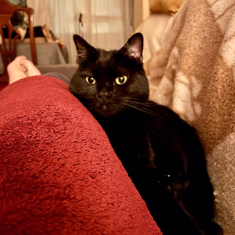 Solo tú y yo, por siempre