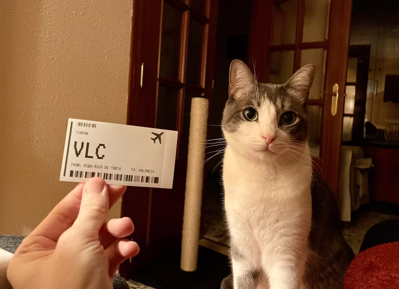 Su viaje a casa, hace 2 años