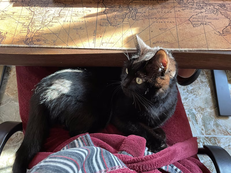 ¡Hoy cumplo 2 añitos!