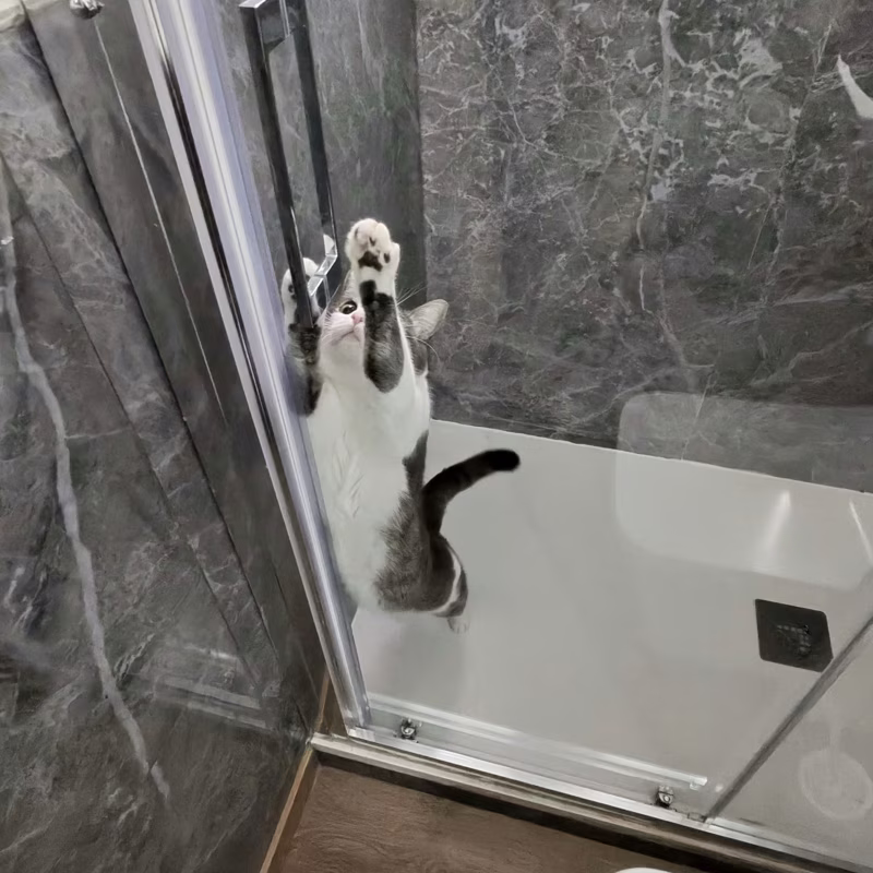 -¡No me quiero duchar! Me portaré bien.-